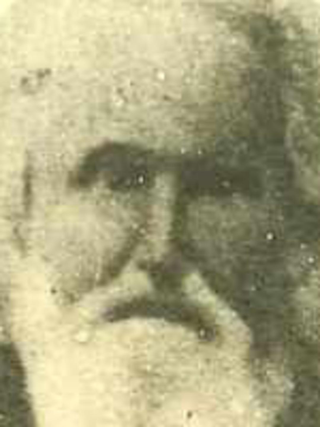 George Knight (1819 - 1895) Profile